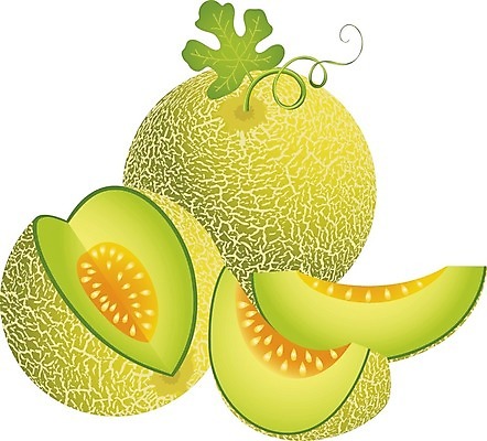EPS 해외이미지 클립아트 음식 조각 과일 일러스트 자연 건강 사탕 그래픽 여름 신선 맛 멜론 유기농 영양 내추럴 고립 스크랩북 해외202004 해외일러스트 웰빙 계절 컨셉 디저트 생태계 파일형식 벡터 이미지허브