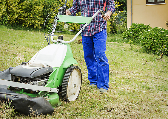 포토 JPG 해외이미지 식물 직업 남자 꽃 밭 자연 노동자 주택 한명 잔디 야외 초록색 정원 기계 봄 장비 공구 업무 자르기 서비스 원예 조경 엔진 다듬기 돌봄 뒤뜰 원예사 커터 해외202004 해외포토 1 계절 컬러 농업 모션 사람 취미 건물 도구 작업 생태계 파일형식 이미지허브