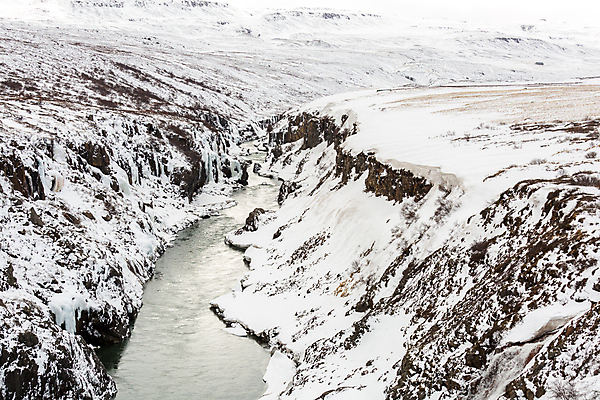 포토 JPG 해외이미지 나무 겨울 아이슬란드 사람없음 강 얼음 폭포 꿈 추위 숲 큼 북극 암초 북쪽 해외202004 해외포토 자연요소 식물 계절 유럽 자연 크기 극지방 방향 파일형식 이미지허브