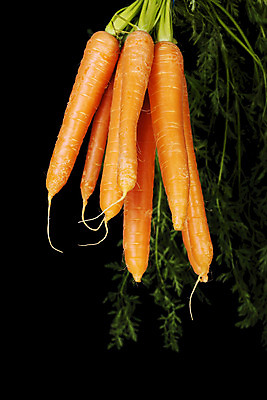 포토 JPG 해외이미지 식물 꽃 음식 농업 다이어트 채소 오렌지 과일 재료 건강 요리 사람없음 초록색 검은색 저녁식사 당근 샐러드 수확 먹기 내추럴 고립 해외202004 해외포토 산업 컬러 모션 뿌리채소 식사 파일형식 이미지허브