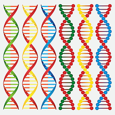 EPS 해외이미지 모델 과학 백그라운드 패턴 일러스트 자연 세포 나선형 약 흰색 확대 DNA 생물학 원자 염색체 공학 개발 고립 신맛 유전 해외202004 해외일러스트 교육 컬러 무늬 의학 맛 생명공학 생태계 파일형식 벡터 이미지허브