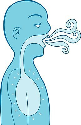 EPS 해외이미지 클립아트 손 디자인 일러스트 흡연 미술 그래픽 장식 시간 호흡 문제 엘리먼트 적자 천식 흡연자 해외202004 해외일러스트 문화예술 담배 신체부위 질병 파일형식 벡터 이미지허브