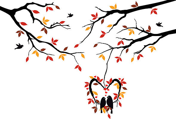 EPS 해외이미지 나무 동물 계절 실루엣 백그라운드 잎 날개 오렌지 일러스트 자연 조류 키스 주택 사랑 빨간색 갈색 노란색 정원 검은색 가을 흰색 나뭇가지 하트 둥지 그림 새장 리빙 고립 해외202004 해외일러스트 모양 식물 감정 컬러 과일 촬영기법 건물 애정표현 생태계 케이지 파일형식 벡터 이미지허브