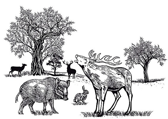 EPS 해외이미지 나무 동물 야생동물 백그라운드 일러스트 자연 뿔 풍경 숲 팩 내추럴 동물상 삼림지대 순록 아기사슴 암사슴 해외202004 해외일러스트 식물 새끼 사슴 조형물 화장품 암컷 생태계 파일형식 벡터 이미지허브