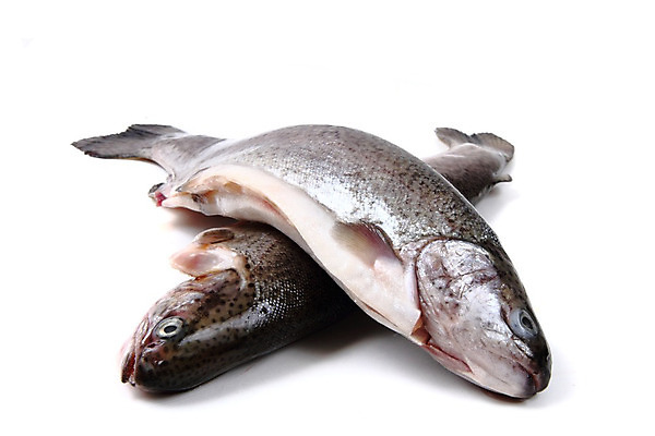 포토 JPG 해외이미지 동물 음식 백그라운드 무지개 2 다이어트 자연 낚시 건강 저울 어류 요리 사람없음 주방 흰색 신선 쌍 은색 먹기 해산물 날것 지느러미 연어 내추럴 고립 민물 송어 해외202004 해외포토 자연요소 컬러 모션 레저 수중동물 생태계 파일형식 이미지허브