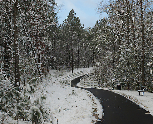 포토 JPG 해외이미지 나무 계절 도로 길 겨울 자연 날씨 풍경 사람없음 냉동 얼음 추위 흰색 해외202004 해외포토 자연요소 식물 컬러 교통시설 생태계 파일형식 이미지허브