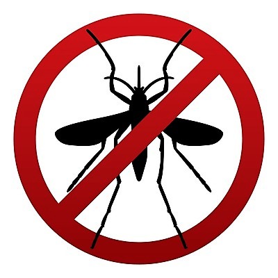 EPS 해외이미지 실루엣 곤충 일러스트 건강 경고 치료 빨간색 건강관리 금지 메시지 바이러스 질병 심볼 사인 반대 토막 고립 모기 위기 전염병 해외202004 해외일러스트 동물 컬러 의학 촬영기법 관리 해충 파일형식 벡터 벌레 이미지허브