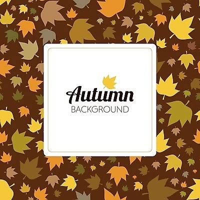 EPS 해외이미지 식물 디자인 계절 백그라운드 단풍 잎 꽃무늬 패턴 오렌지 일러스트 자연 벽지 추상 장식 컬러풀 노란색 가을 흰색 9월 질감 10월 엘리먼트 해외202004 해외일러스트 꽃 컬러 무늬 과일 날짜 생태계 파일형식 벡터 이미지허브