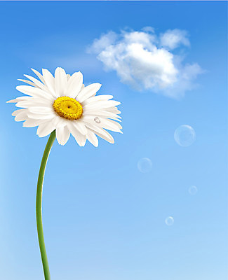 EPS 해외이미지 식물 구름 꽃잎 꽃 행복 백그라운드 잎 밭 농업 일러스트 자연 하늘 아침 휴가 파노라마 잔디 초록색 여름 파란색 태양 노란색 자유 성장 벚꽃 흰색 시골 신선 싱글 데이지 장면 캐모마일 해외202004 해외일러스트 주간 자연요소 계절 감정 산업 컬러 컨셉 촬영기법 허브 생태계 파일형식 벡터 이미지허브