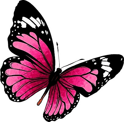 EPS 해외이미지 동물 디자인 실루엣 야생동물 나비 곤충 패턴 날개 일러스트 자연 추상 미술 앉기 그래픽 장식 파란색 세트 컬러풀 검은색 수확 흰색 플랫 벌레 숲 수집 문신 심볼 사인 싱글 그림 내추럴 고립 엘리먼트 스타일 현실 해외202004 해외일러스트 컬러 무늬 농업 모션 문화예술 촬영기법 생태계 파일형식 벡터 이미지허브