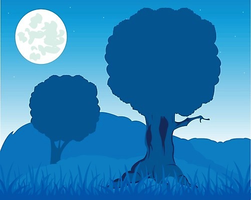 EPS 해외이미지 나무 실루엣 별 일러스트 자연 아침 산 풍경 일몰 새벽 달 저녁 허브 해외202004 해외일러스트 주간 자연요소 식물 촬영기법 노을 야간 생태계 파일형식 벡터 이미지허브