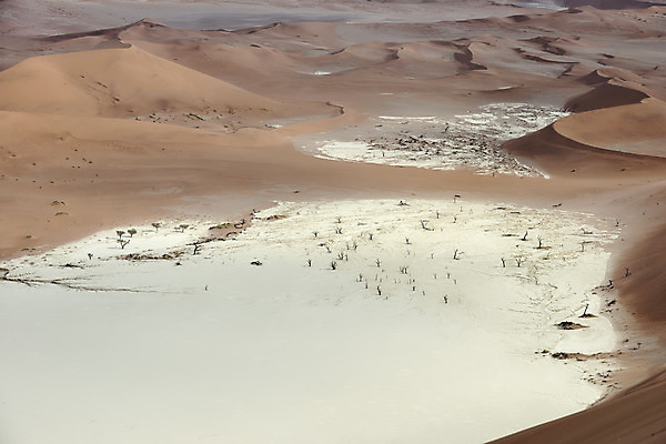 포토 JPG 해외이미지 모래 여행 패턴 오렌지 건조 국립공원 그림자 풍경 사람없음 빛 갈색 사막 뜨거움 모래언덕 질감 가뭄 멀리 내추럴 나미비아 해외202004 해외포토 공원 컬러 무늬 과일 날씨 언덕 남아프리카 파일형식 이미지허브