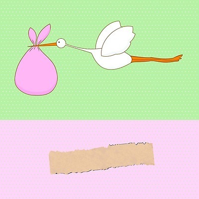 EPS 해외이미지 디자인 꽃 행복 어린이 분홍색 백그라운드 패턴 일러스트 텍스트 조류 추상 기념 선물 사랑 미술 소년 장식 장미 우주 임신 축하 아기 인사 신용카드 발표 생일 달콤 도착 질감 엽서 스크랩북 황새 해외202004 해외일러스트 식물 동물 기념일 남자 감정 컬러 컨셉 무늬 문화예술 사람 금융 예절 맛 편지 파일형식 벡터 이미지허브