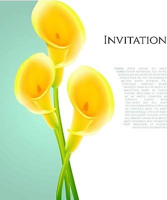 EPS 해외이미지 식물 디자인 계절 꽃잎 꽃 바다 줄기 결혼 백그라운드 꽃무늬 텍스트 자연 휴가 미술 사람없음 세로 초록색 여름 빛 노란색 정원 봄 활발 흰색 인사 신용카드 생일 우아함 백합 스케치 복고 초대 구성 엘리먼트 칼라꽃 파스텔톤 스타일 해외202004 기념일 컬러 컨셉 무늬 문화예술 이벤트 금융 예절 생태계 파일형식 벡터 이미지허브