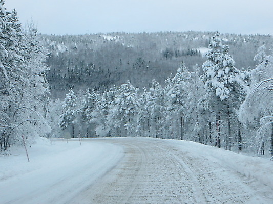 포토 JPG 해외이미지 주간 나무 길 겨울 노르웨이 사람없음 야외 눈 겨울풍경 해외202004 해외포토 자연요소 식물 계절 유럽 날씨 풍경 파일형식 이미지허브
