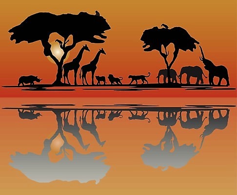 EPS 해외이미지 나무 동물 실루엣 야생동물 일러스트 아프리카 자연 조류 코끼리 일출 환경 일몰 사자 큼 기린 피부 사냥 윤곽 육식동물 5 코뿔소 스카이라인 치타 표범 추적 동물상 수평선 해외202004 해외일러스트 식물 나라 포유류 모션 촬영기법 신체부위 조형물 숫자 노을 크기 생태계 파일형식 벡터 이미지허브