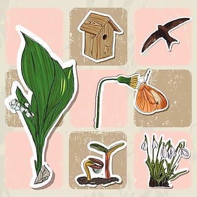 EPS 해외이미지 계절 꽃 포스터 분홍색 나비 곤충 백그라운드 일러스트 캘리그라피 자연 조류 여름 세트 새싹 봄 수확 시간 낙서 이슬 에코 질감 복고 새장 제비 고립 엘리먼트 파스텔톤 헌병 해외202004 해외일러스트 식물 동물 컬러 농업 환경 군인 생태계 케이지 파일형식 벡터 이미지허브