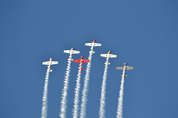 포토 JPG 해외이미지 날개 사람없음 해외202004 해외포토 파일형식 이미지허브