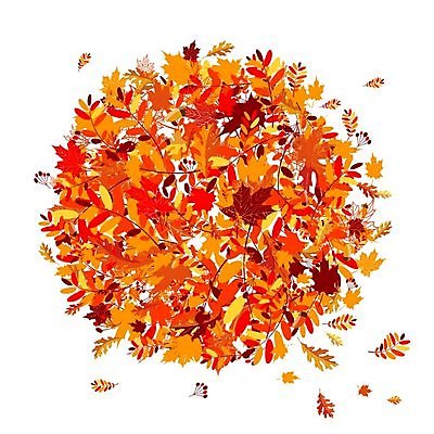 EPS 해외이미지 모양 나무 식물 계절 꽃잎 실루엣 꽃다발 백그라운드 단풍 잎 곡선 일러스트 자연 바람 프레임 사람없음 빨간색 노란색 환경 소용돌이 가을 원형 떨어짐 숲 9월 10월 해외202004 해외일러스트 자연요소 도형 꽃 선 컬러 컨셉 날씨 촬영기법 회오리 날짜 생태계 파일형식 벡터 이미지허브