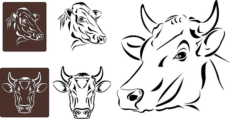 EPS 해외이미지 동물 응시 농업 라인일러스트 일러스트 포유류 자연 뿔 농장 머리 검은색 가축 흰색 소 만화 스케치 그림 고립 해외202004 해외일러스트 시선 산업 컬러 미술 신체부위 생태계 파일형식 벡터 이미지허브