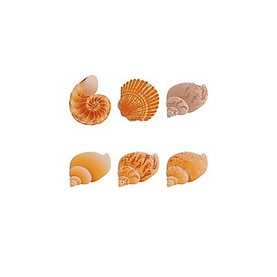 EPS 해외이미지 모양 배너 모래 바다 여행 백그라운드 컨셉 일러스트 자연 휴가 조개 휴식 아이디어 미술 그래픽 여름 세트 갈색 노란색 수영 껍질 심볼 그림 질감 해외202004 해외일러스트 계절 컬러 문화예술 어패류 수상스포츠 생태계 파일형식 벡터 이미지허브