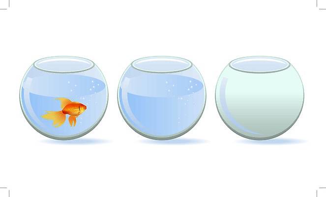 EPS 해외이미지 동물 1 호수 백그라운드 일러스트 자연 유리 주택 건조 어류 물 파란색 반려동물 우주 수중 거품 액체 사발 황금 크리스탈 만화 어항 오브젝트 싱글 금붕어 함선 수족관 잉어 고립 현실 해외202004 해외일러스트 자연요소 컬러 배_교통 재질 건물 수중동물 사기그릇 광석 생태계 파일형식 벡터 이미지허브