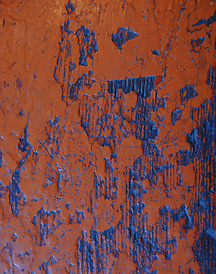 포토 JPG 해외이미지 나무 백그라운드 바닥 사람없음 장식 페인트 판넬 해외202004 해외포토 식물 파일형식 이미지허브