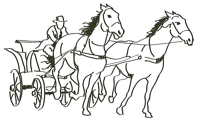 EPS 해외이미지 모양 동물 디자인 실루엣 스포츠 일러스트 공 포유류 자연 휴가 새로움 동물원 사랑 그래픽 반려동물 세트 농장 파티 머리 점프 중국 힘 자유 승마 승차 스케치 연도 심볼 사인 속도 윤곽 갈기 기수 망아지 고립 스타일 해외202004 해외일러스트 감정 아시아 새끼 컨셉 농업 모션 촬영기법 미술 이벤트 신체부위 말_동물 생태계 파일형식 벡터 이미지허브