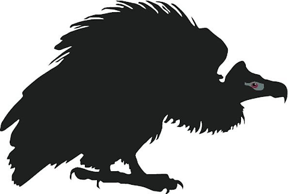 EPS 해외이미지 모양 동물 디자인 과학 날개 일러스트 조류 검은색 흰색 오픈 공격 깃털 속도 생물학 고립 동물상 해외202004 해외일러스트 교육 컬러 모션 조형물 파일형식 벡터 이미지허브