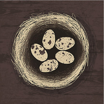 EPS 해외이미지 동물 전통 음식 백그라운드 일러스트 자연 조류 표면 휴가 부활절 이벤트 목재 장식 갈색 바구니 봄 축하 그룹 둥지 작음 질감 부활절계란 짜임 내추럴 해외202004 해외일러스트 나무 계절 기념일 컬러 컨셉 재료 계란 크기 생태계 파일형식 벡터 이미지허브