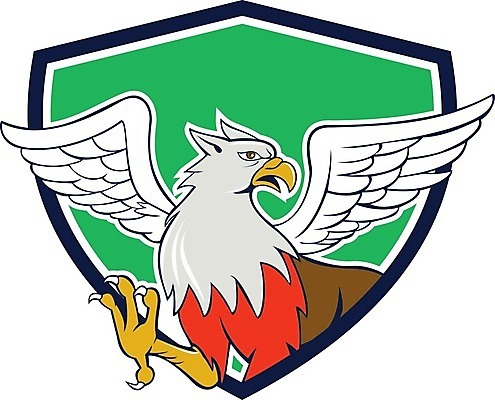 EPS 해외이미지 날개 일러스트 생물 그래픽 머리 만화 독수리 신화 방패 고립 몬스터 발톱 해외202004 해외일러스트 발 조류 신체부위 파일형식 벡터 이미지허브