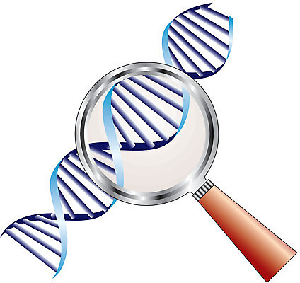 EPS 해외이미지 교육 줄기 과학 일러스트 유리 세포 나선형 스터디 약 시험 탐험 투명 확대 DNA 생명공학 검색 생물학 염색체 발견 복제 탐지 해외202004 해외일러스트 식물 무늬 의학 재질 학습 파일형식 벡터 이미지허브