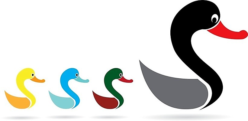 EPS 해외이미지 동물 1 디자인 남자 실루엣 야생동물 포즈 백그라운드 2 날개 일러스트 자연 조류 오리 육류 서기 반려동물 세트 검은색 가축 흰색 그룹 만화 자르기 수집 가득함 깃털 사냥 부리 거위 물새 청둥오리 고립 양발 해외202004 해외일러스트 컬러 식재료 모션 촬영기법 사람 생태계 파일형식 벡터 이미지허브