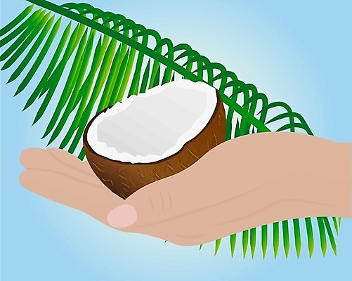 EPS 해외이미지 식물 템플릿 라이프스타일 손 음식 섬 여행 백그라운드 농업 다이어트 채소 과일 일러스트 재료 부분 자연 휴가 열대 건강 손바닥 여름 식사 견과류 시골 신선 원형 달콤 상품 먹기 그림 유기농 코코넛 밀짚 내추럴 배급 영양분 이국적 채식주의자 파라다이스 해외202004 해외일러스트 도형 웰빙 계절 산업 모션 생활 신체부위 맛 짚 생태계 채식 파일형식 벡터 이미지허브