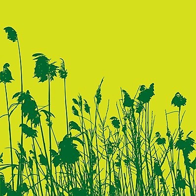 EPS 해외이미지 식물 실루엣 호수 백그라운드 잎 일러스트 자연 갈대 초록색 물 강 환경 흰색 내추럴 해외202004 해외일러스트 자연요소 컬러 촬영기법 생태계 파일형식 벡터 이미지허브