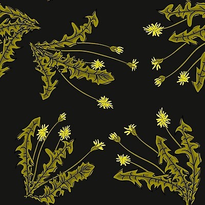 EPS 해외이미지 식물 디자인 꽃 백그라운드 잎 꽃무늬 패턴 일러스트 자연 바람 흑백 미술 씨앗 그래픽 장식 여름 희망 침묵 봄 성장 벚꽃 흰색 신용카드 우아함 민들레 불기 장면 솜털 내추럴 고립 해외202004 해외일러스트 자연요소 계절 감정 컬러 컨셉 무늬 모션 날씨 문화예술 촬영기법 금융 소리 생태계 파일형식 벡터 이미지허브