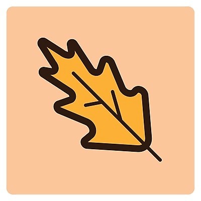 EPS 해외이미지 나무 식물 잎 일러스트 자연 플랫 만화 심플 해외202004 해외일러스트 생태계 파일형식 벡터 이미지허브