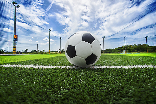 포토 JPG 해외이미지 스포츠 축구공 잔디 사람없음 야외 축구 해외202004 해외포토 식물 공 축구용품 구기 파일형식 이미지허브