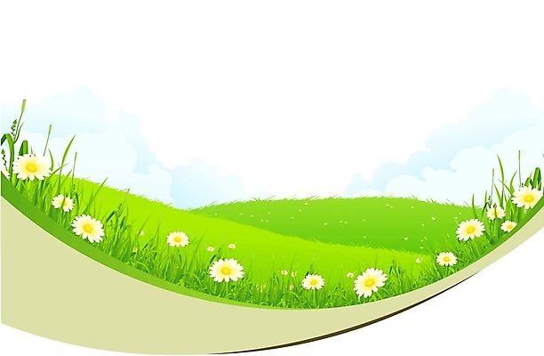 EPS 해외이미지 식물 구름 꽃 잎 일러스트 자연 풍경 사람없음 야외 초록색 여름 환경 봄 시골 땅 언덕 캐모마일 수평선 해외202004 해외일러스트 자연요소 계절 컬러 허브 생태계 파일형식 벡터 이미지허브