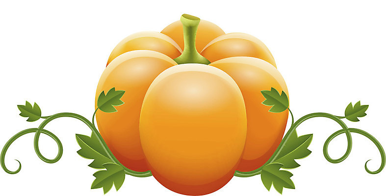 EPS 해외이미지 식물 1 음식 줄기 백그라운드 잎 채소 과일 일러스트 자연 호박 건강 초록색 흰색 큼 오브젝트 싱글 그림 박 내추럴 고립 숙성 잭오랜턴 채식주의자 해외202004 해외일러스트 컬러 할로윈 크기 생태계 채식 파일형식 벡터 이미지허브