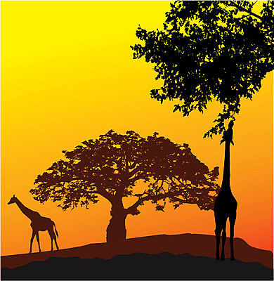 EPS 해외이미지 동물 백그라운드 패턴 일러스트 포유류 아프리카 뿔 힘 회색 흰색 점 큼 기린 사파리 꼬리 목 고립 그런지 힘찬 해외202004 해외일러스트 나라 컬러 컨셉 무늬 신체부위 크기 파일형식 벡터 이미지허브