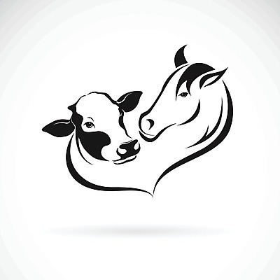 EPS 해외이미지 동물 디자인 응시 실루엣 얼굴 선 음식 백그라운드 농업 일러스트 포유류 자연 뿔 육류 스테이크 미술 사람없음 그래픽 농장 머리 검은색 소고기 우유 자유 시골 소 농부 스케치 문신 심볼 사인 그림 황소 윤곽 송아지 고립 밭일 해외202004 해외일러스트 직업 시선 산업 새끼 컬러 컨셉 식재료 문화예술 유제품 서양음식 촬영기법 신체부위 생태계 파일형식 벡터 사람 이미지허브