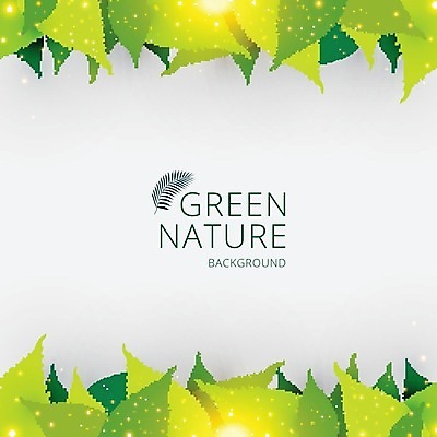 EPS 해외이미지 템플릿 디자인 백그라운드 컨셉 스티커 잎 일러스트 추상 프레임 사람없음 그래픽 초록색 빛 환경 성장 흰색 신선 가격 심볼 에코 소매 승진 내추럴 바이오 헤딩 제의 해외202004 해외일러스트 식물 컬러 무늬 축구 파일형식 벡터 이미지허브