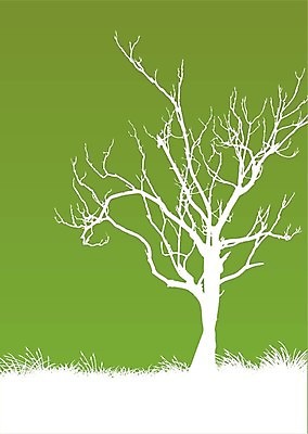 EPS 해외이미지 나무 계절 실루엣 잎 일러스트 자연 하늘 야외 초록색 환경 흰색 나뭇가지 시골 숲 고립 땅바닥 해외202004 해외일러스트 식물 컬러 바닥 촬영기법 생태계 파일형식 벡터 이미지허브