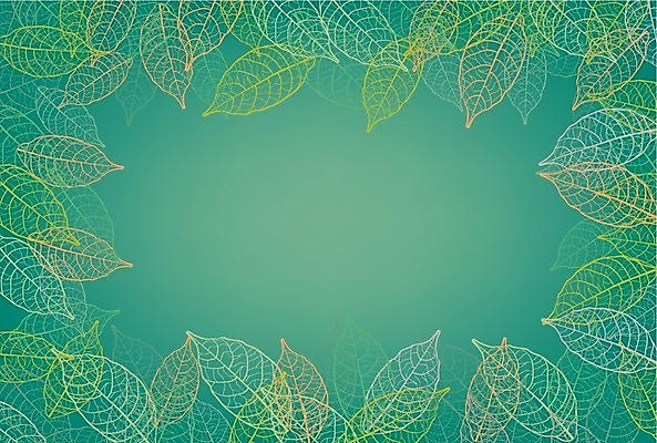 EPS 해외이미지 모양 나무 식물 디자인 계절 문화 백그라운드 잎 꽃무늬 패턴 일러스트 자연 벽지 프레임 미술 장식 갈색 노란색 우주 정원 공백 수확 성장 가을 나뭇가지 신선 신용카드 숲 심볼 메뉴 그림 질감 내추럴 고립 카피스페이스 해외202004 해외일러스트 꽃 컬러 무늬 농업 문화예술 금융 생태계 파일형식 벡터 이미지허브