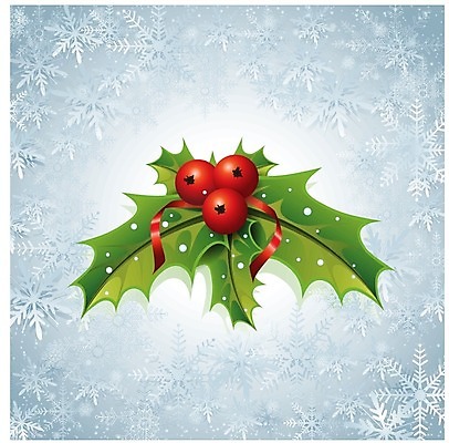EPS 해외이미지 식물 열매 리본 잎 크리스마스장식 크리스마스 일러스트 휴가 크리스마스카드 장식 가로 얼음 눈송이 심볼 서리 고립 카피스페이스 해외202004 해외일러스트 자연요소 기념일 카드_감사 눈_날씨 공백 파일형식 벡터 이미지허브