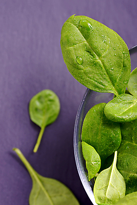 포토 JPG 해외이미지 음식 백그라운드 잎 채소 재료 실내 건강 사람없음 목재 초록색 물 검은색 침묵 신선 떨어짐 이슬 허브 유기농 날것 슛 시금치 내추럴 채식주의자 해외202004 해외포토 자연요소 나무 식물 웰빙 컬러 컨셉 내부 소리 채식 파일형식 이미지허브