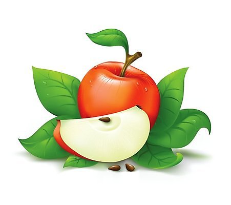 EPS 해외이미지 음식 백그라운드 잎 과일 일러스트 재료 부분 빨간색 초록색 바위 흰색 나뭇가지 신선 그룹 달콤 떨어짐 사과 자르기 꼬리 고립 구성 숙성 식욕 채식주의자 해외202004 해외일러스트 나무 식물 컬러 컨셉 모션 맛 채식 파일형식 벡터 이미지허브
