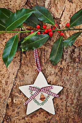 포토 JPG 해외이미지 별 리본 백그라운드 잎 크리스마스 겨울 패턴 프레임 사람없음 목재 장식 빨간색 세로 수확 흰색 시골 체크무늬 나무껍질 노엘 카피스페이스 해외202004 해외포토 자연요소 나무 식물 계절 기념일 컬러 무늬 농업 재료 공백 껍질 파일형식 이미지허브