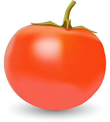 EPS 해외이미지 식물 1 음식 줄기 백그라운드 농업 토마토 채소 과일 일러스트 재료 자연 건강 그림자 미술 빨간색 초록색 빛 식사 활발 흰색 신선 원형 맛 매끈함 큼 피부 오브젝트 싱글 유기농 날것 내추럴 고립 숙성 채식주의자 현실 해외202004 해외일러스트 도형 웰빙 산업 컬러 컨셉 문화예술 신체부위 감각 크기 생태계 채식 파일형식 벡터 이미지허브